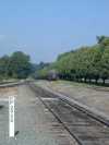 YV_yard_north