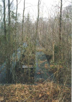 stokesdale_trestle_north_friddle_01.jpg (147219 bytes)