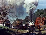 train4.jpg